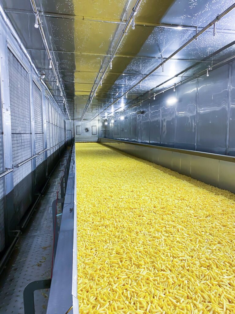 French Fry Tunnel With French Fry EDITED 768x1024