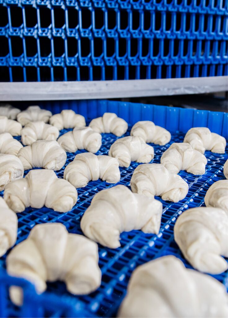 Hallway Poster 05 736x1024