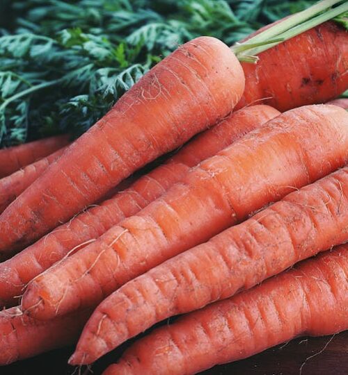 Close-up of fresh organic carrots with greens on a wooden surface, showcasing vibrant orange color.
